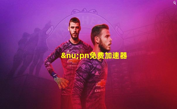 νpn免费加速器