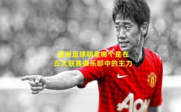 亚洲足球明星哪个是在五大联赛俱乐部中的主力
