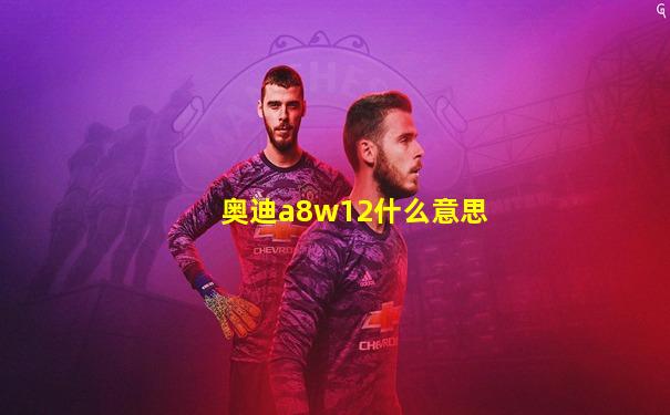 奥迪a8w12什么意思