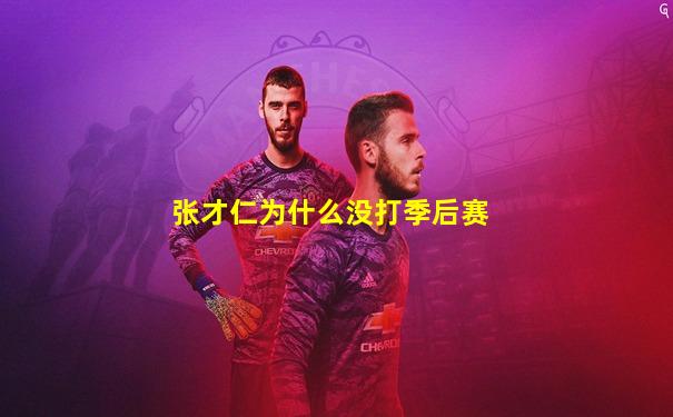 张才仁为什么没打季后赛
