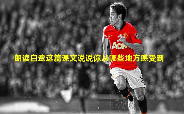 朗读白鹭这篇课文说说你从哪些地方感受到