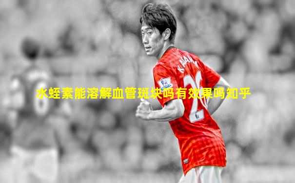 水蛭素能溶解血管斑块吗有效果吗知乎