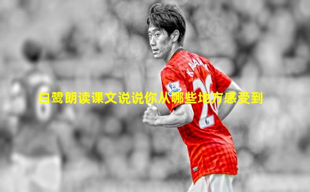 白鹭朗读课文说说你从哪些地方感受到