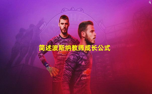 简述波斯纳教师成长公式