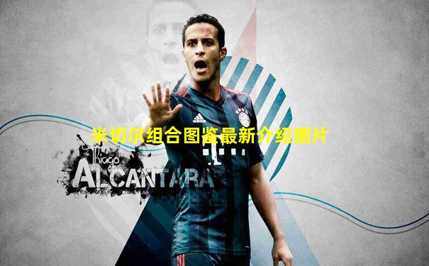 米切尔组合图鉴最新介绍图片