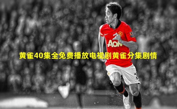 黄雀40集全免费播放电视剧黄雀分集剧情