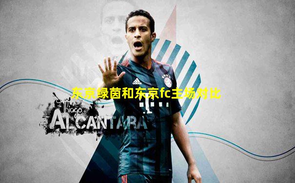 东京绿茵和东京fc主场对比
