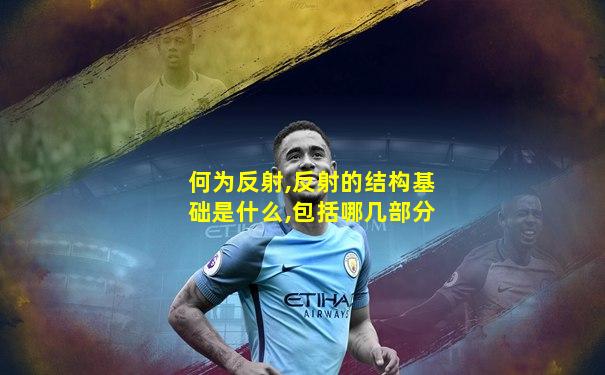 何为反射,反射的结构基础是什么,包括哪几部分