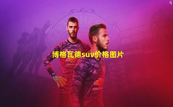 博格瓦德suv价格图片