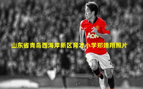 山东省青岛西海岸新区育才小学郑翊翔照片