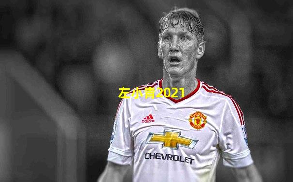 左小青2021