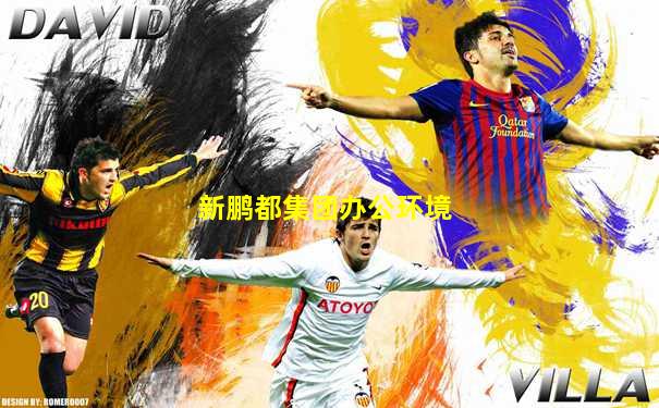 新鹏都集团办公环境