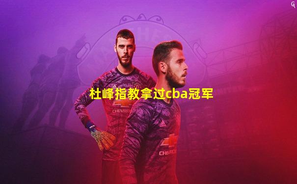 杜峰指教拿过cba冠军