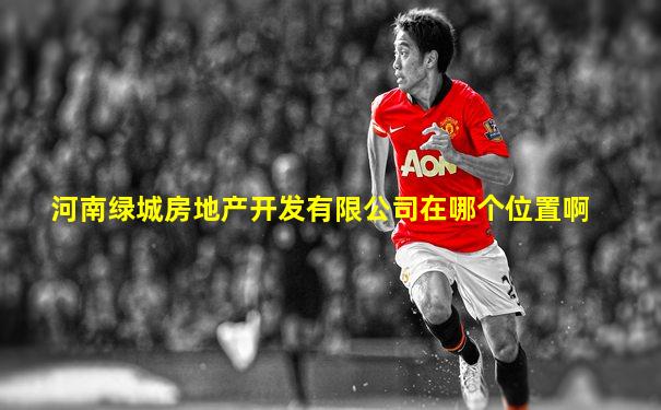 河南绿城房地产开发有限公司在哪个位置啊