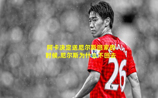 阿卡决定送尼尔斯回家的时候,尼尔斯为什么不回去