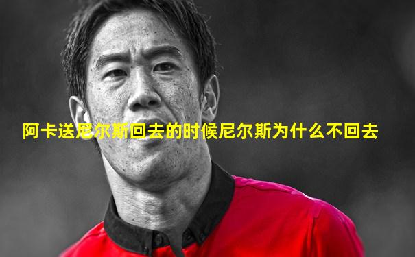阿卡送尼尔斯回去的时候尼尔斯为什么不回去