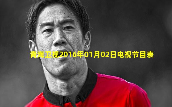 青海卫视2016年01月02日电视节目表